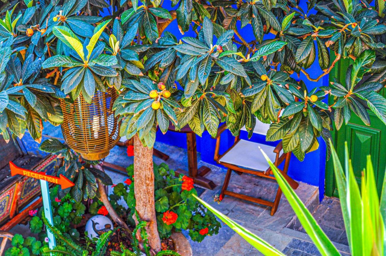 Symi Garden Studios Екстер'єр фото